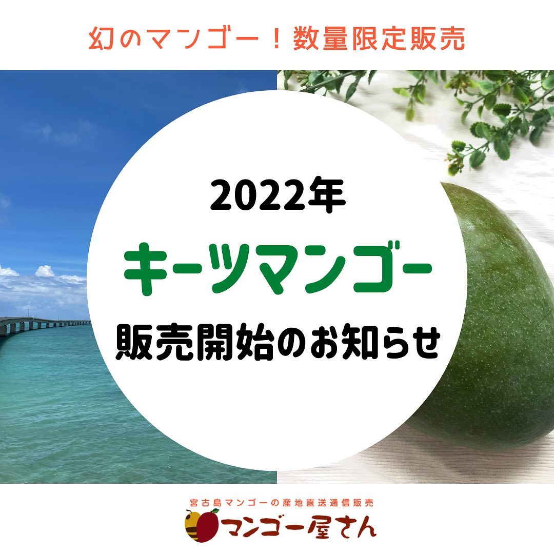 キーツマンゴー販売開始のお知らせ