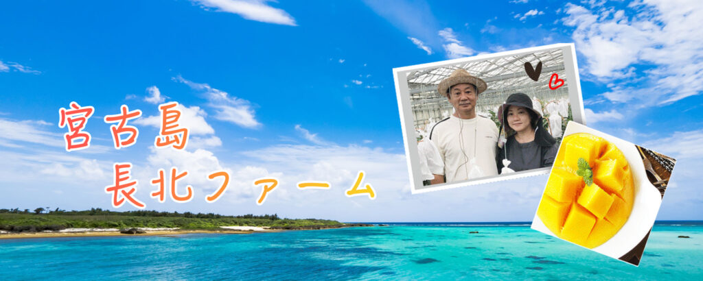 宮古島長北ファーム