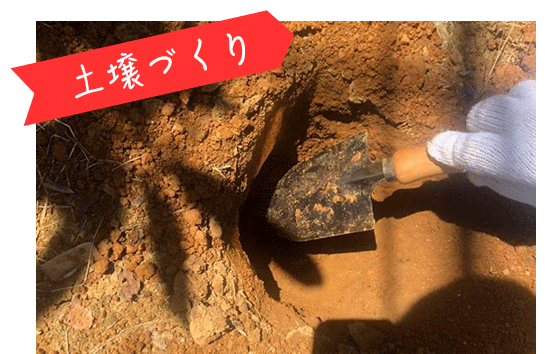 長北ファーム土壌作り